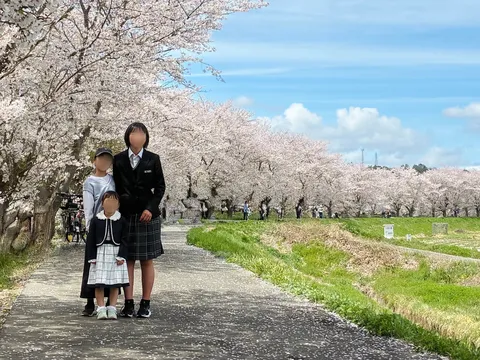 桜並木の下、春の散歩道