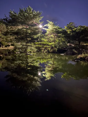 静寂の夜、水面に映る木漏れ日