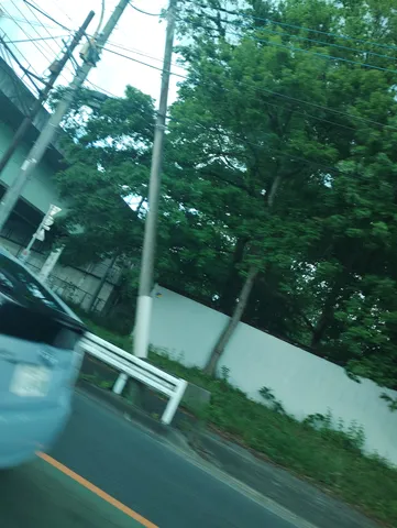 過ぎゆく日常の色彩