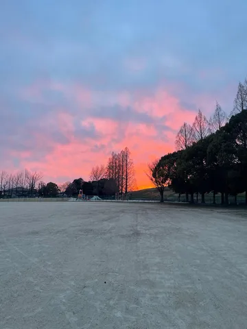夕焼けと広がる空のコントラスト