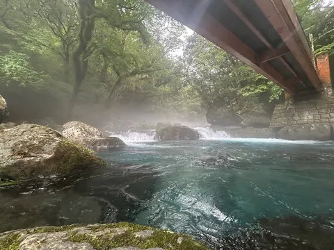 橋の下に広がる、神秘的な渓流の緑