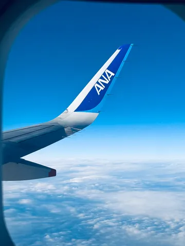 雲海とANAの翼