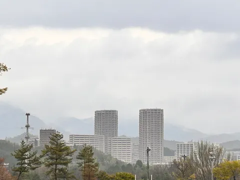 霧深き、高層ビル群の眺め