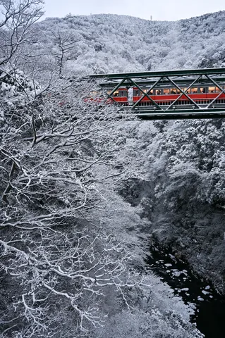 雪景色を走る赤いきしゃ