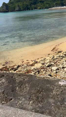 波打ち際の静かな時間