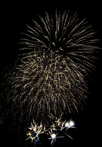 夜空に咲く黄金の花火