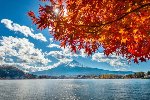 紅葉と富士、輝く秋の彩り