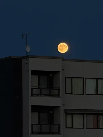 月光が照らす屋根の夜