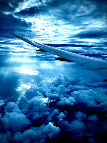 翼が見る空の青