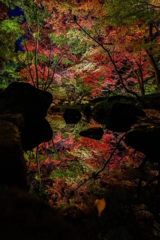 紅葉の灯りと水鏡
