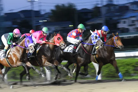 疾走する彩りの競馬風景