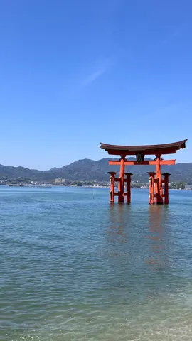将軍の守護神