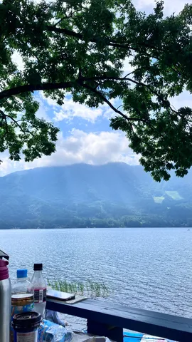 夏の湖畔に映える木影