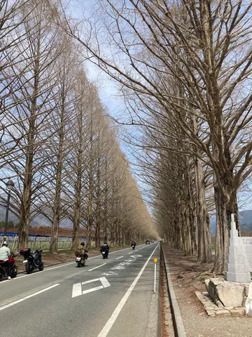 風景がつなぐ長い道