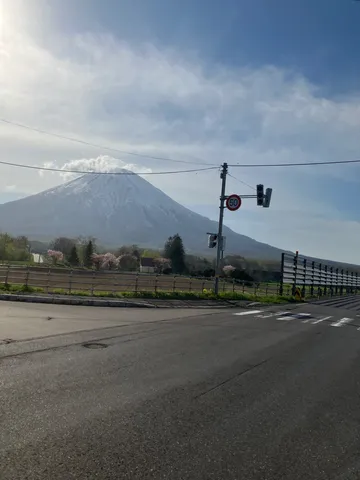 雄大な山と春の息吹