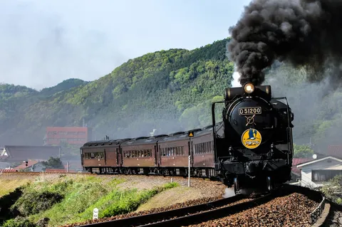 煙がモクモク、D51の気迫
