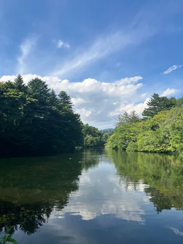 水辺に映る空と緑