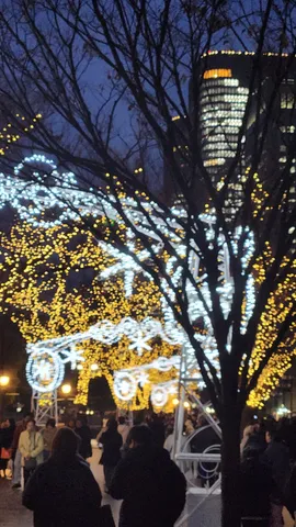 煌めく光の夜景と木々