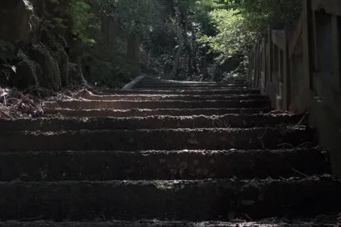 森の奥へ誘う石段