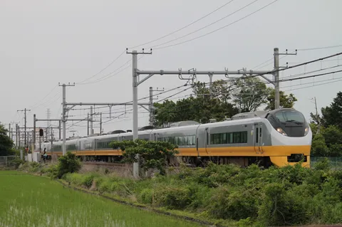 田園を駆け抜ける黄色い列車