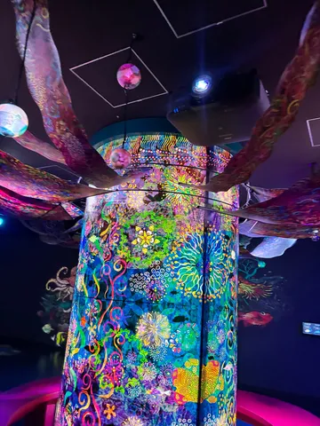 ネオンが誘う、水中ワンダーランド