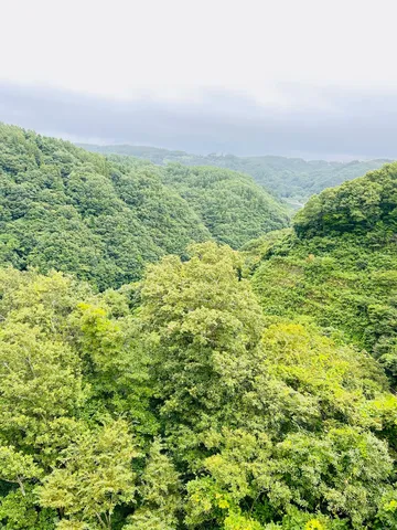 緑深き山並みの静寂