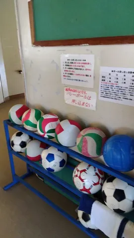 ボールラックのカラフルな仲間