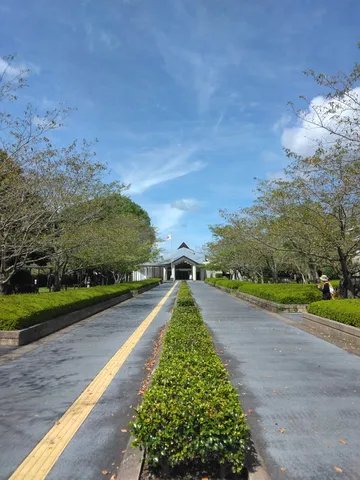 緑道が導く青空の道