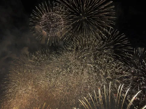 夜空を彩る花火の瞬間