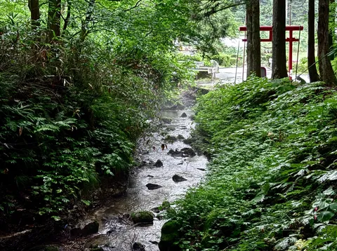 木漏れ日と清流の癒やし