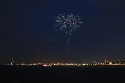 夜空に咲いた二輪の花