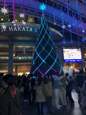 博多の夜を彩る光のツリー