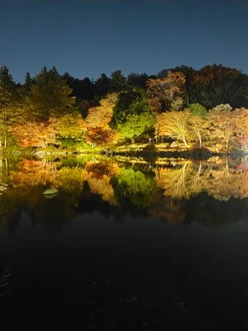 水面に映る幻想的な秋の夜