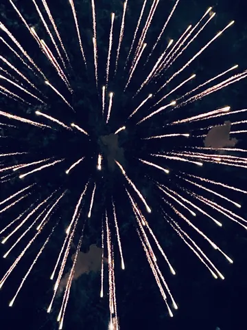 夜空に咲く大輪の花