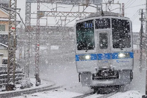 吹雪の中、疾走する銀色の刃