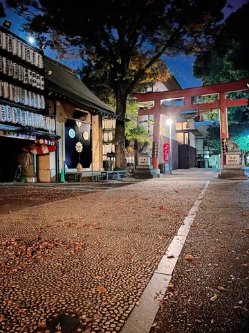 夜の鳥居と灯籠の路