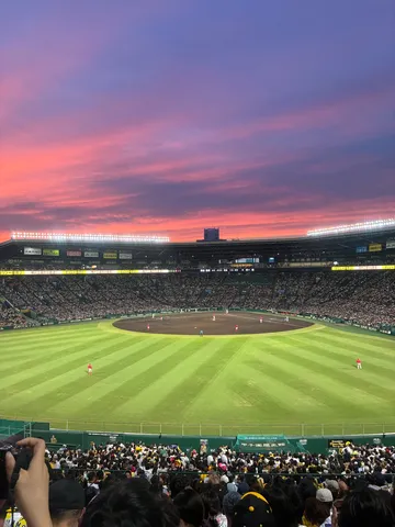 夕焼け空と野球場のコントラスト