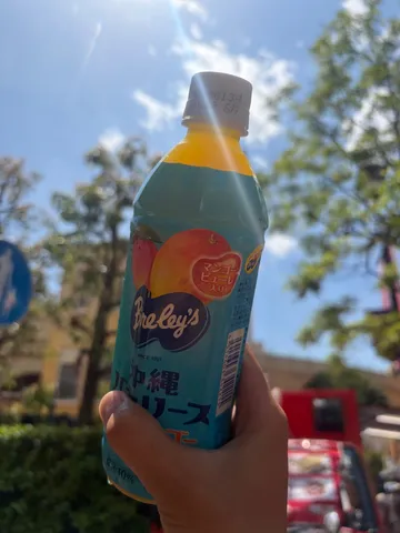 夏空にひんやり一本