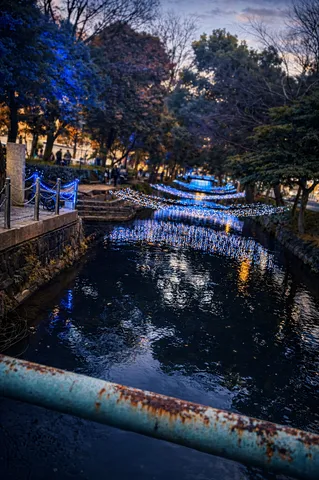 青い光の流れる小径