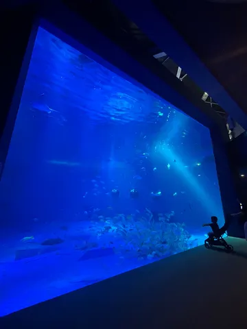深海の世界へダイブ