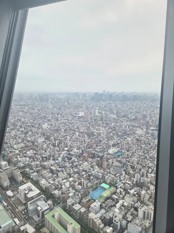 青いトラックを探せ！