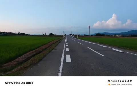 田園の果てへ伸びる道