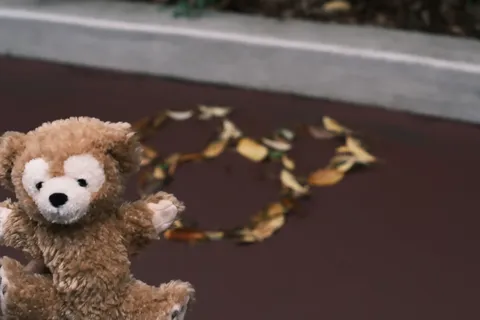 秋風の中のぬいぐるみが微笑む