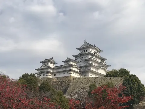 雲海に浮かぶ白鷺城