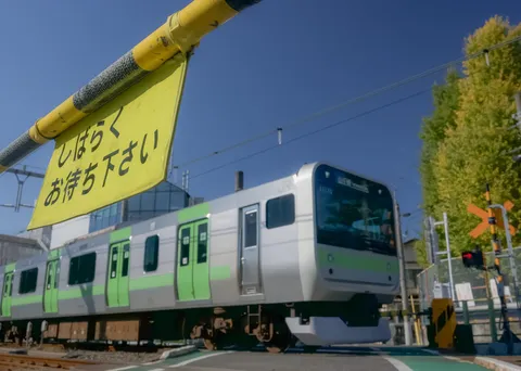 銀と緑、刹那の交差