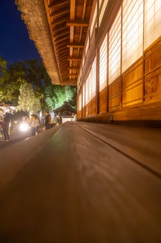 床目線、和の灯りに吸い込まれる夜