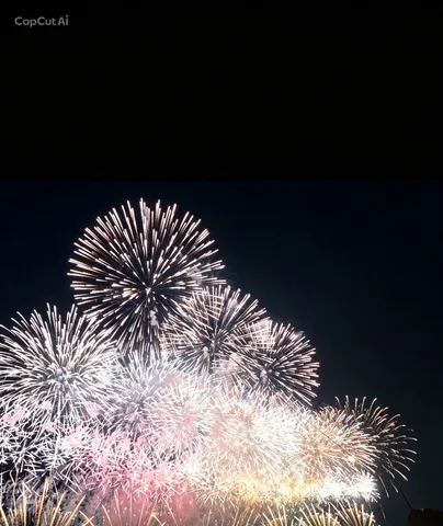 夜空を彩る花火の群れ