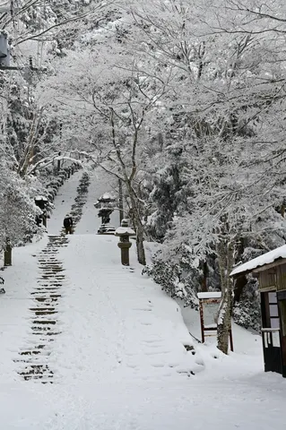 雪道に刻まれる静寂