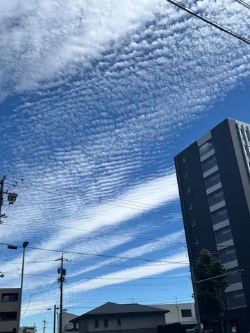 空と街の紋様が並ぶ