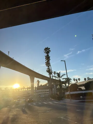 LAの空港？夕日とヤシの木が歓迎